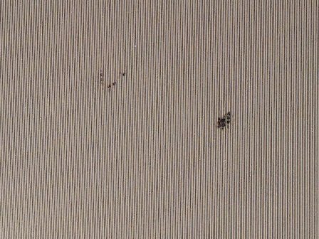 Monitor spot burns - close-up