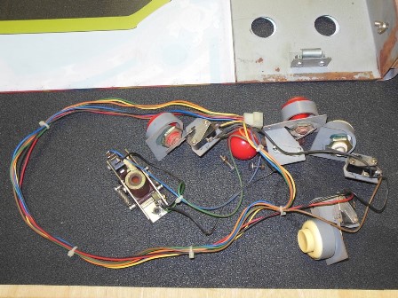 Control panel wiring loom