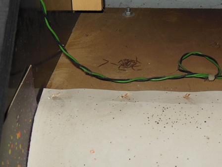 Surround staple removal