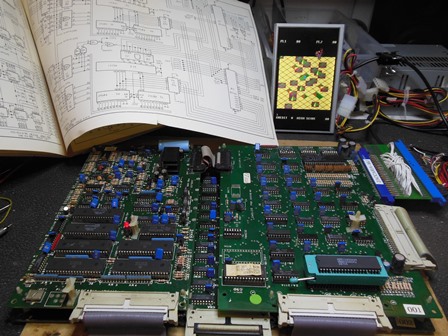 Jackrabbit converted Money Money