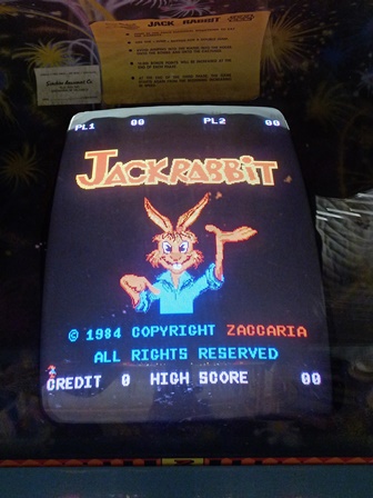 Zaccaria Jackrabbit picture