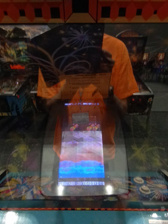 Jackrabbit rolling picture