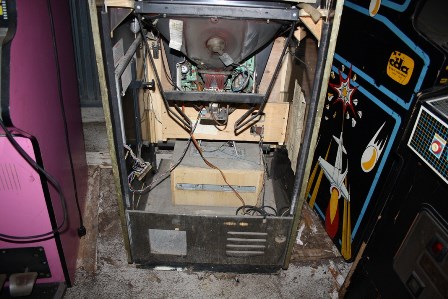 Zaccaria Fantasy upright