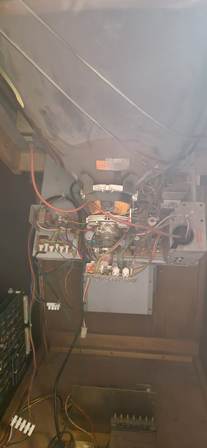 Tehkan Phoenix upright