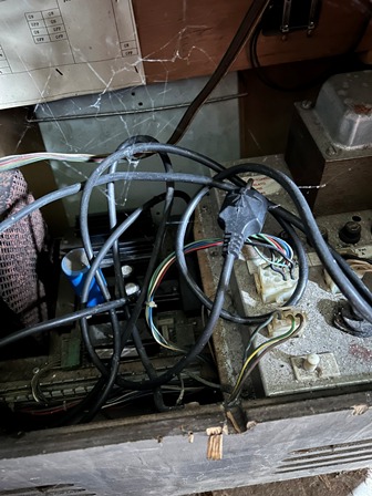 Zaccaria Phoenix upright