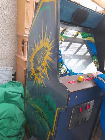 Converted Zaccaria Frogger upright